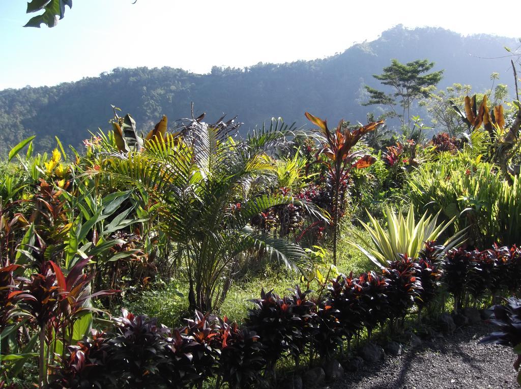 The Bukit Artha Bed & Breakfast Sidemen  Luaran gambar