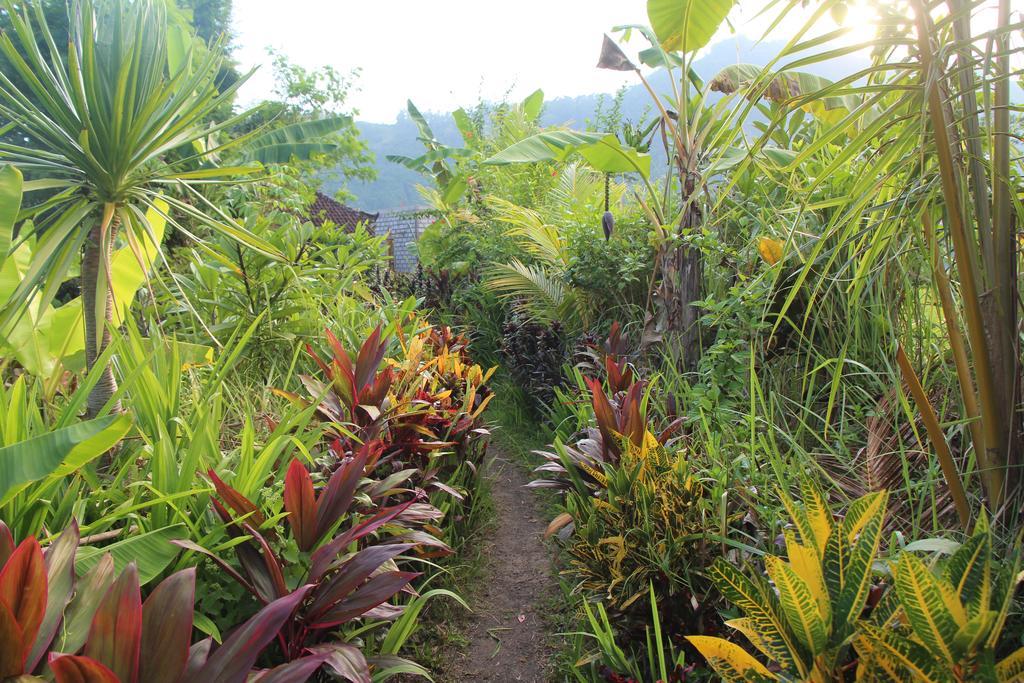 The Bukit Artha Bed & Breakfast Sidemen  Luaran gambar