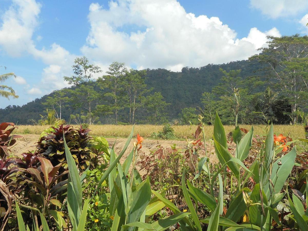 The Bukit Artha Bed & Breakfast Sidemen  Luaran gambar
