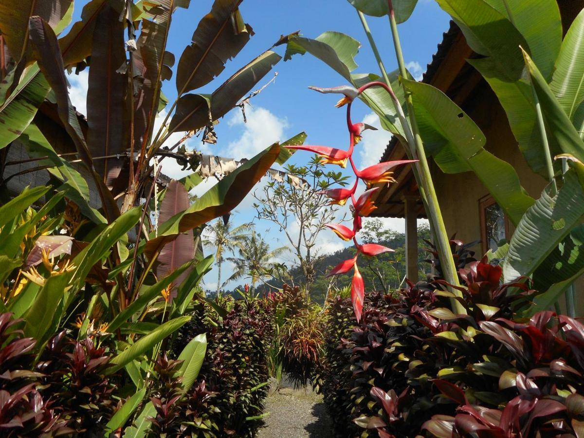 The Bukit Artha Bed & Breakfast Sidemen  Luaran gambar