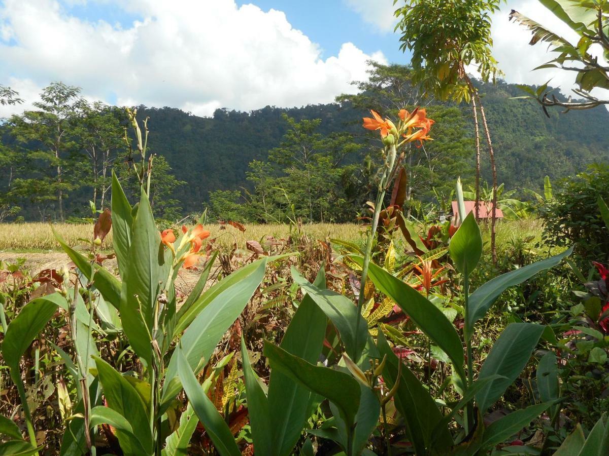 The Bukit Artha Bed & Breakfast Sidemen  Luaran gambar