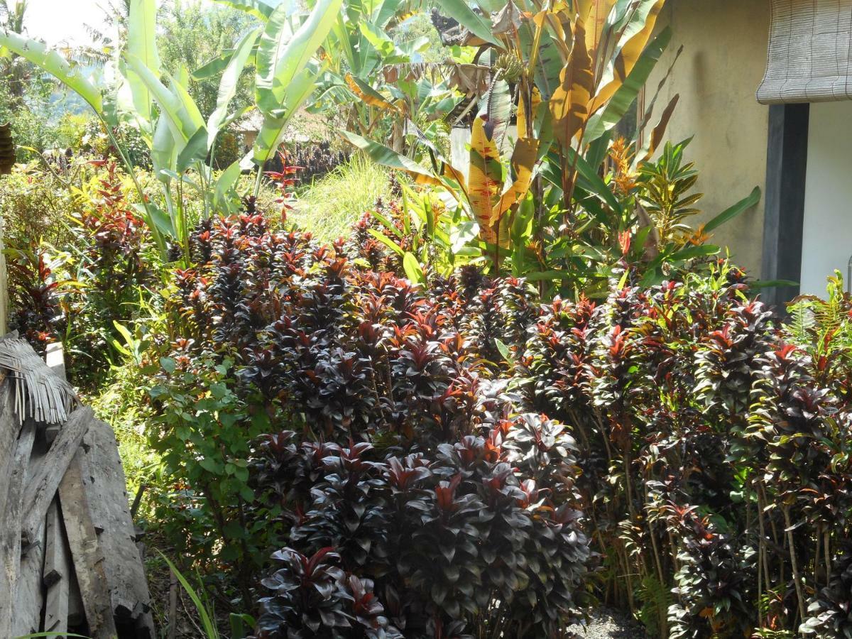 The Bukit Artha Bed & Breakfast Sidemen  Luaran gambar