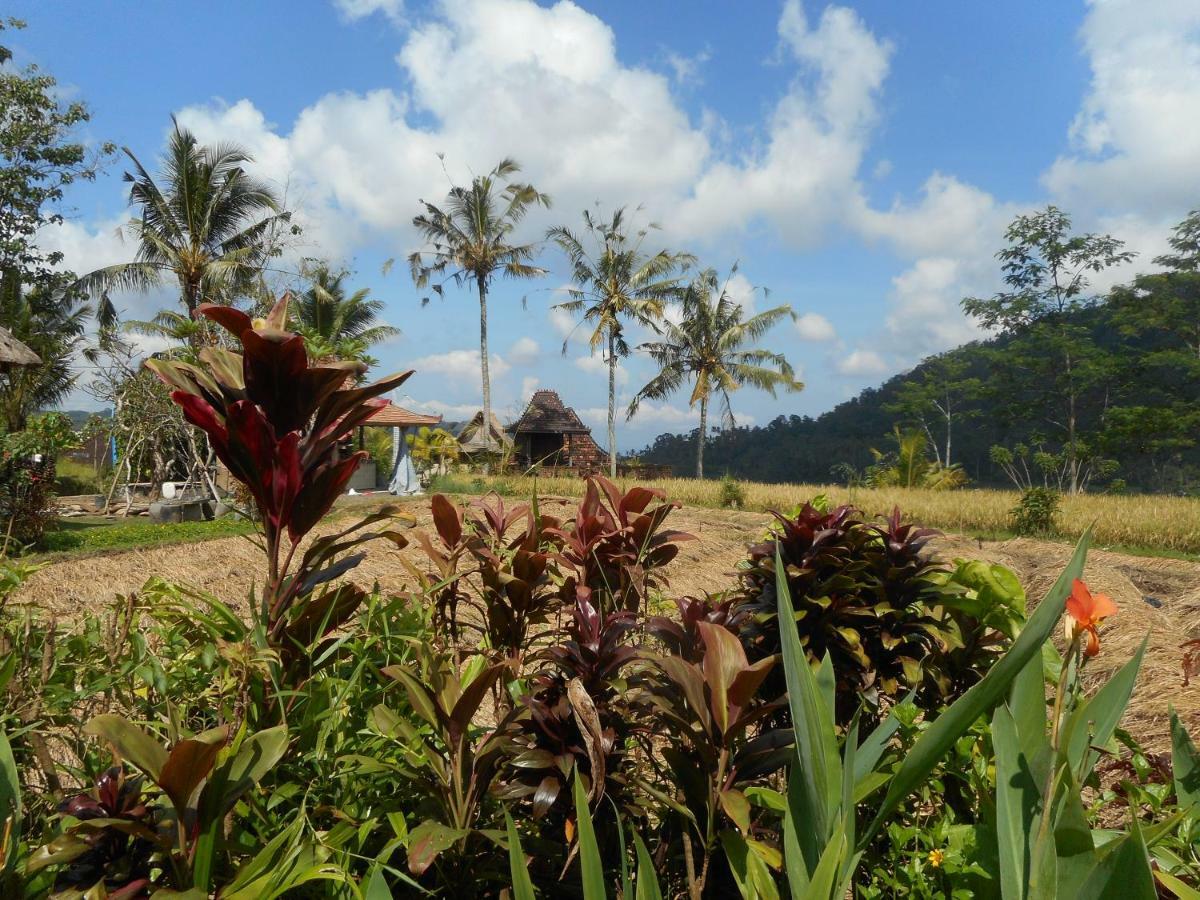 The Bukit Artha Bed & Breakfast Sidemen  Luaran gambar
